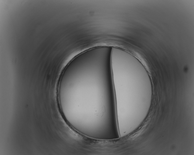 X0000090430803200707131007