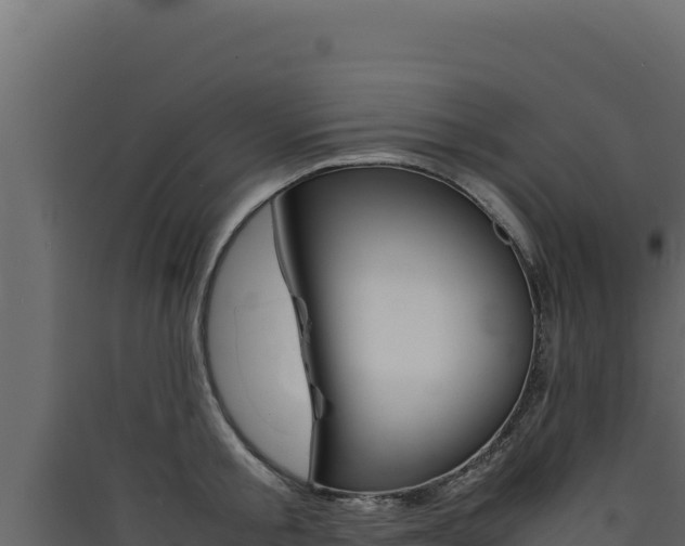 X0000090430805200707131007