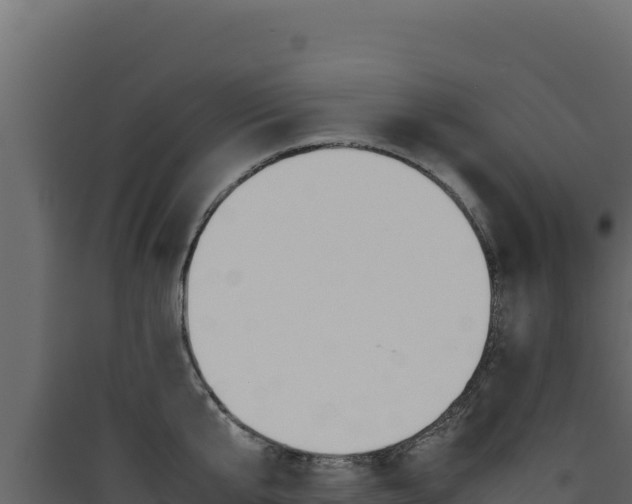 X0000090430807200707131007