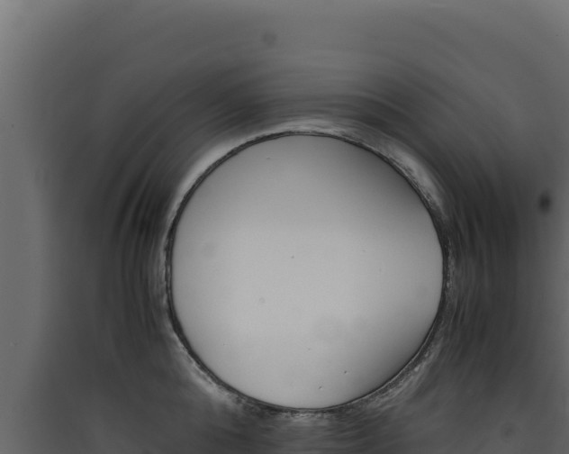 X0000090430808200707131007