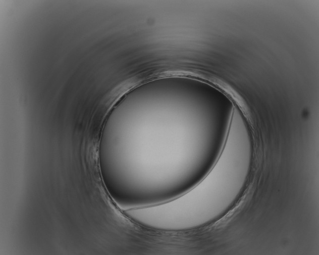 X0000090430809200707131007