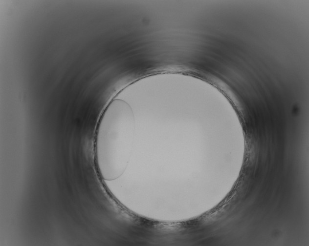 X0000090430810200707131007
