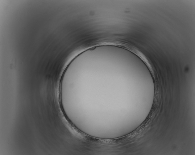 X0000090430811200707131007