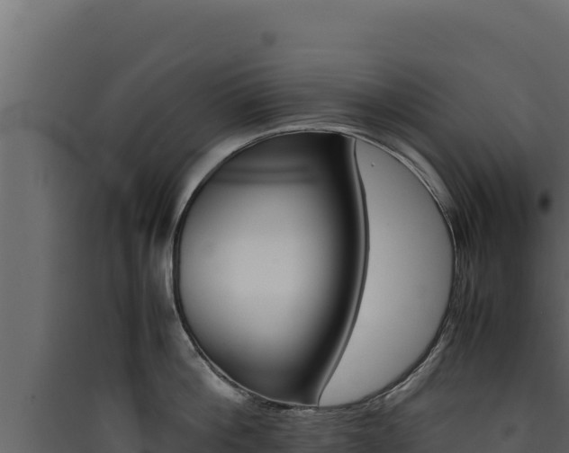 X0000090430812200707131007