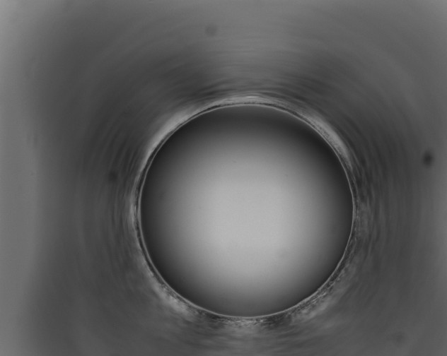 X0000090430813200707131007