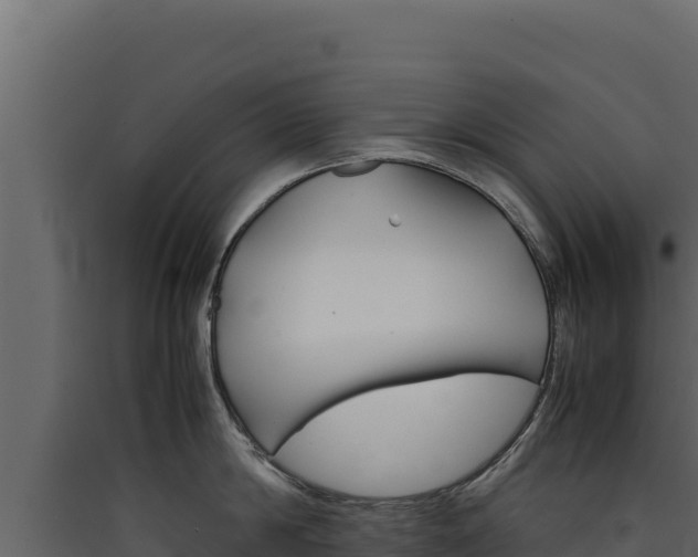 X0000090430814200707131007