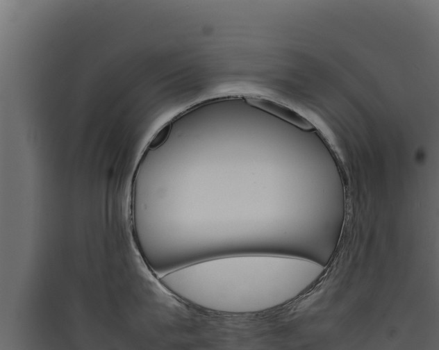 X0000090430815200707131007