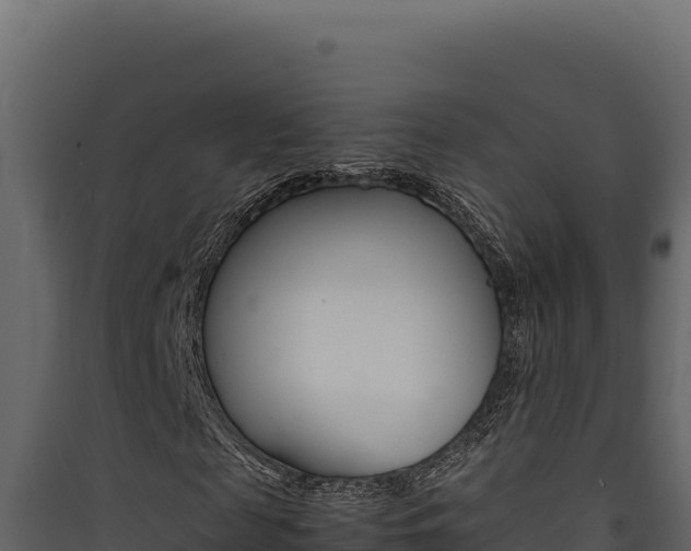 X0000090430817200707131006