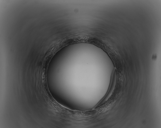 X0000090430818200707131006