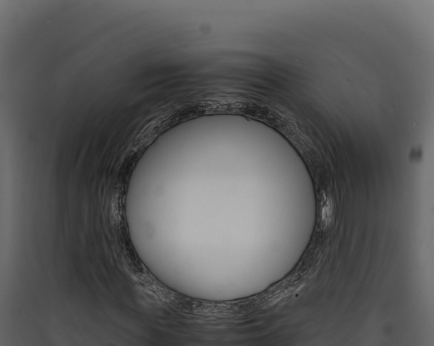 X0000090430819200707131006