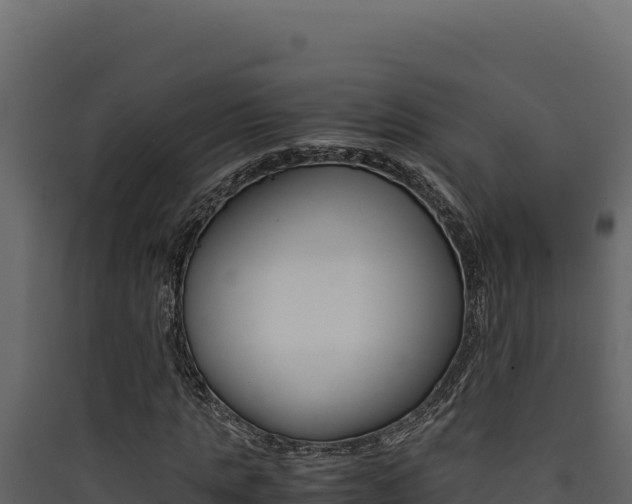 X0000090430821200707131006