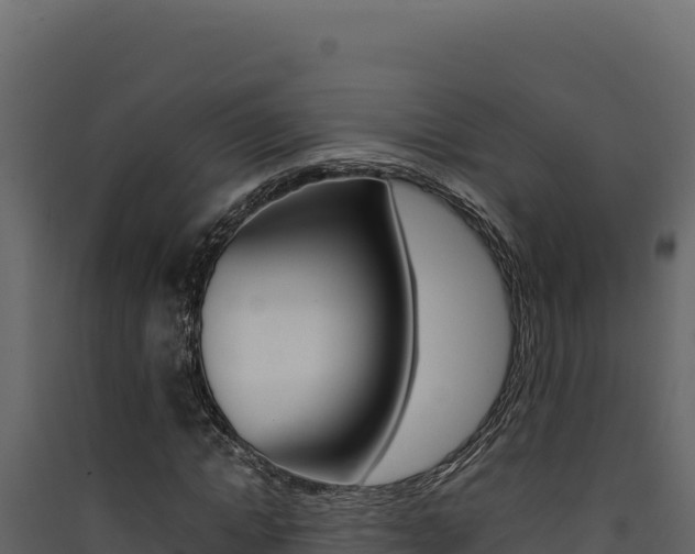 X0000090430822200707131006