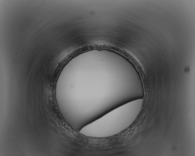 X0000090430823200707131006