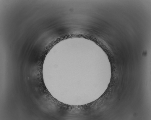 X0000090430824200707131006