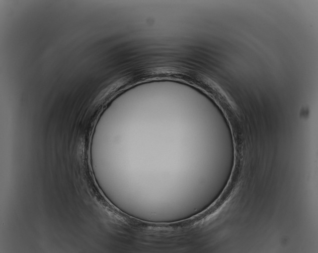 X0000090430825200707131006
