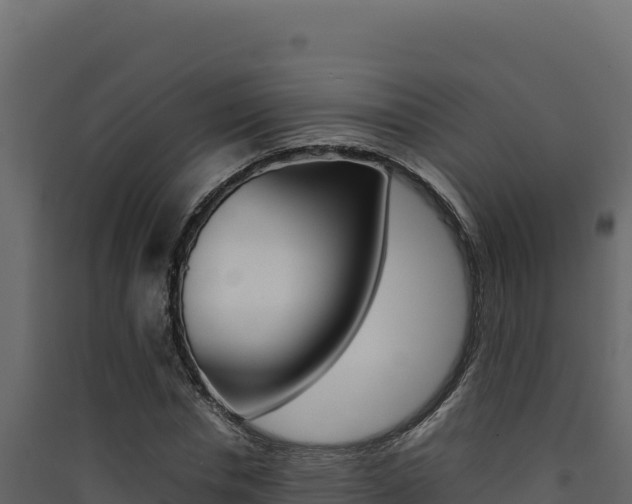 X0000090430826200707131006