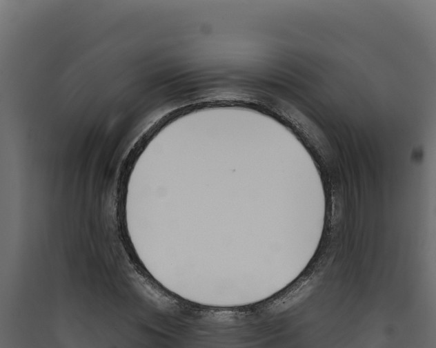 X0000090430828200707131006