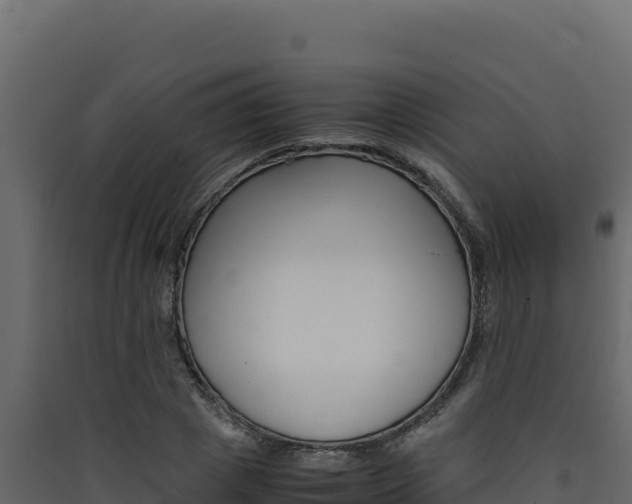 X0000090430833200707131006