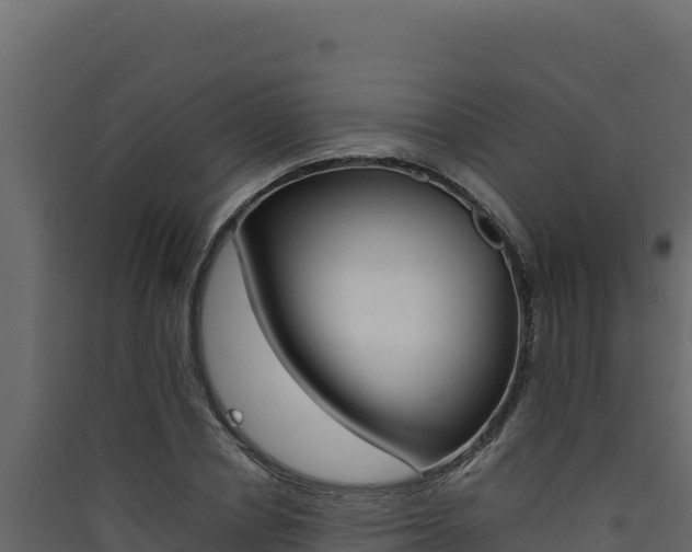 X0000090430834200707131006