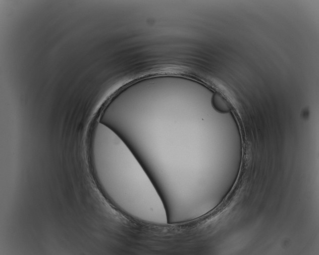 X0000090430835200707131006