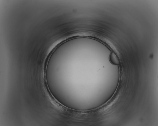 X0000090430837200707131006