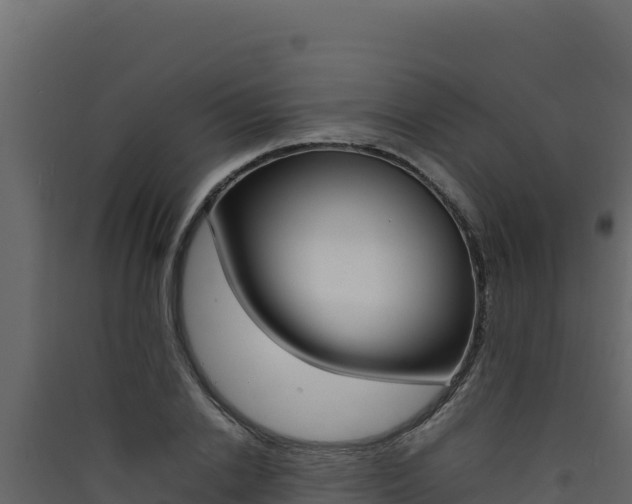 X0000090430838200707131006