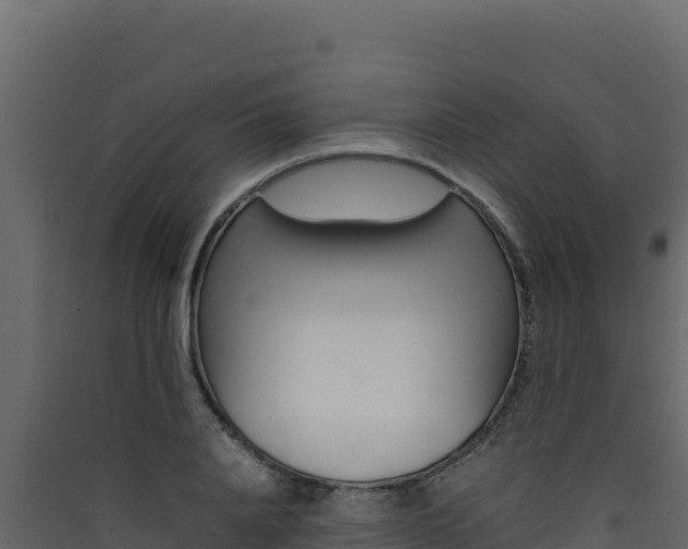 X0000090430840200707131006
