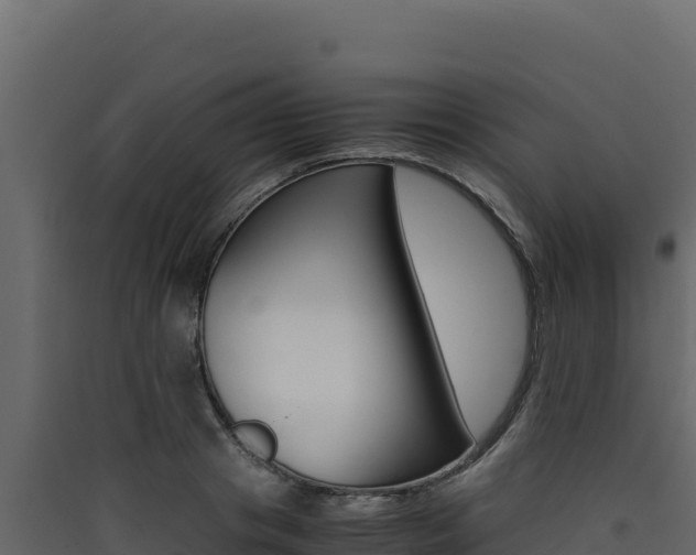 X0000090430841200707131006