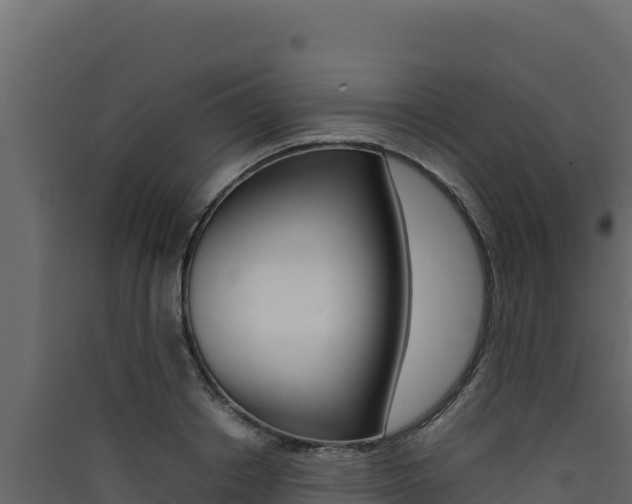 X0000090430842200707131007