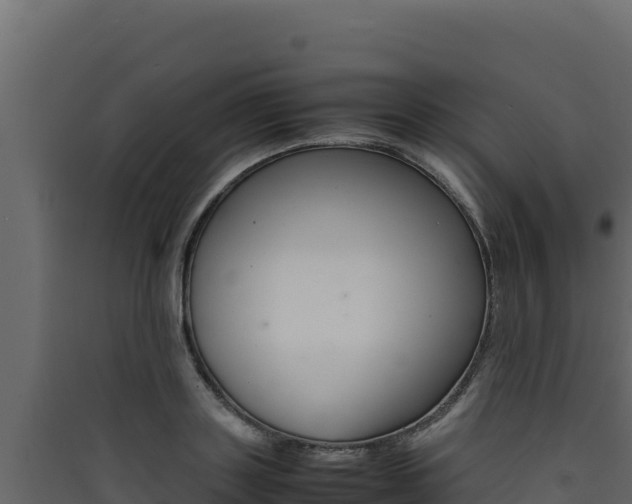 X0000090430843200707131007