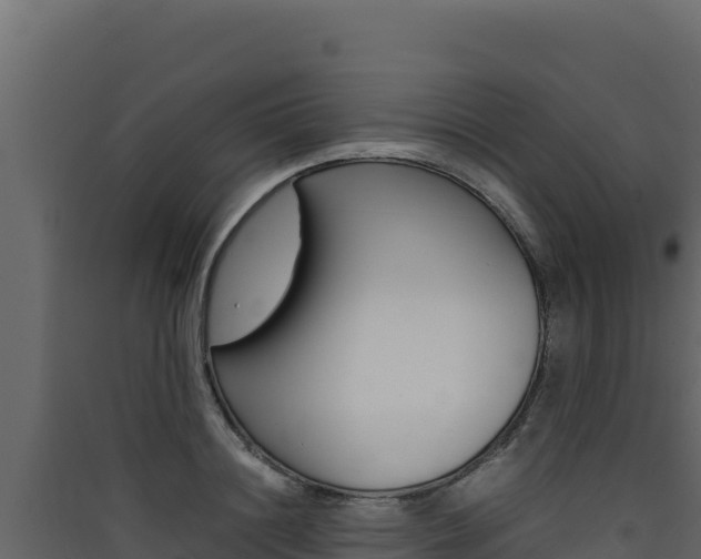 X0000090430844200707131007