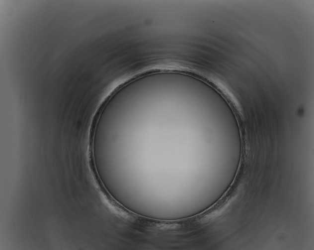 X0000090430845200707131007