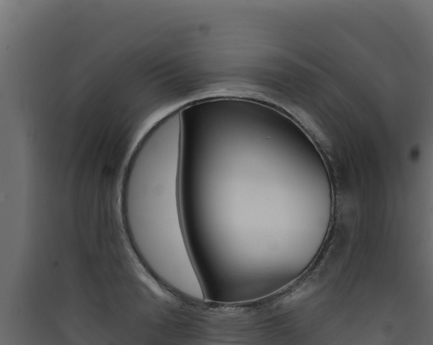 X0000090430846200707131007