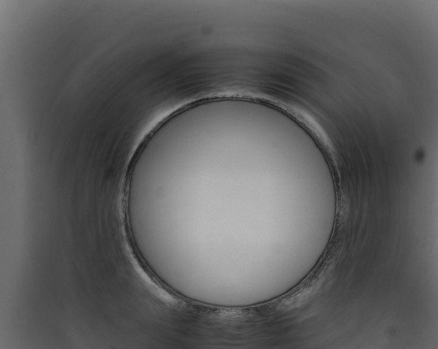 X0000090430847200707131007