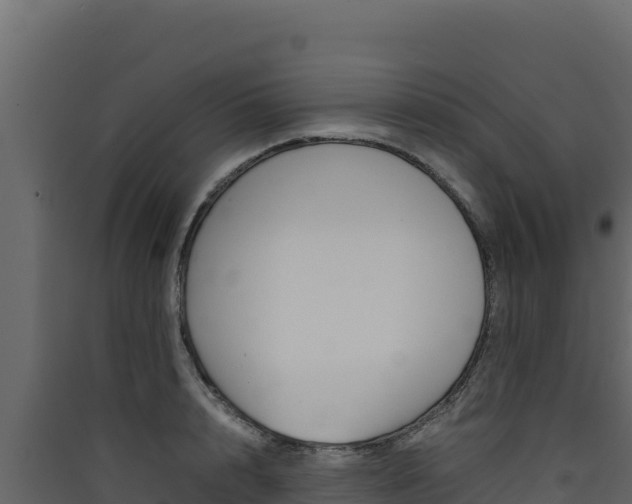 X0000090430848200707131007