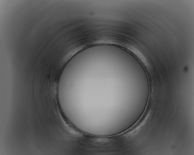 X0000090430849200707131007