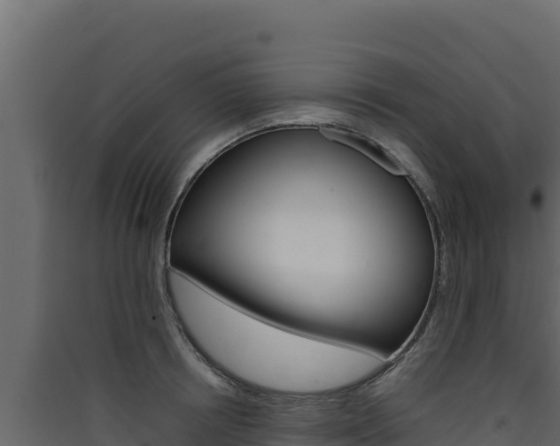 X0000090430850200707131007