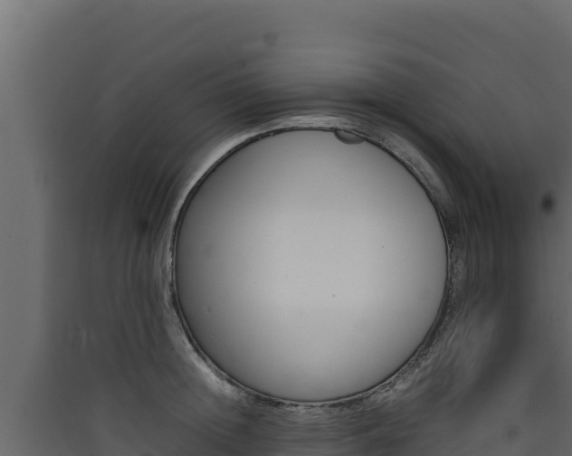 X0000090430852200707131007