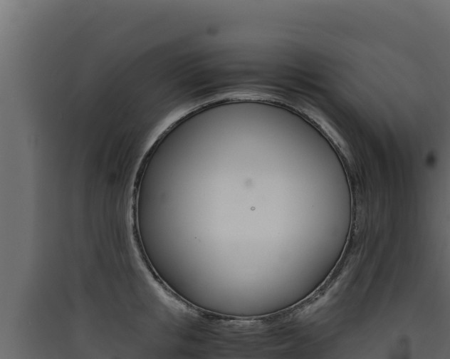 X0000090430853200707131007