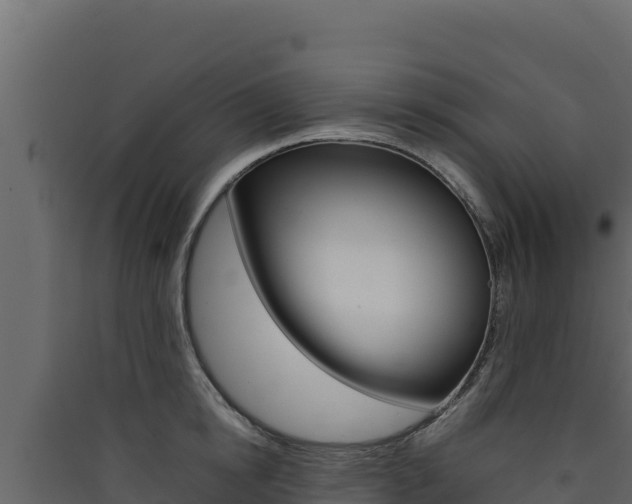 X0000090430854200707131007