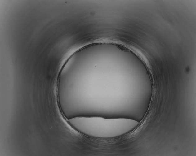 X0000090430855200707131007