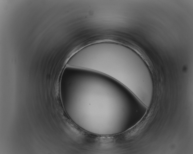 X0000090430858200707131007