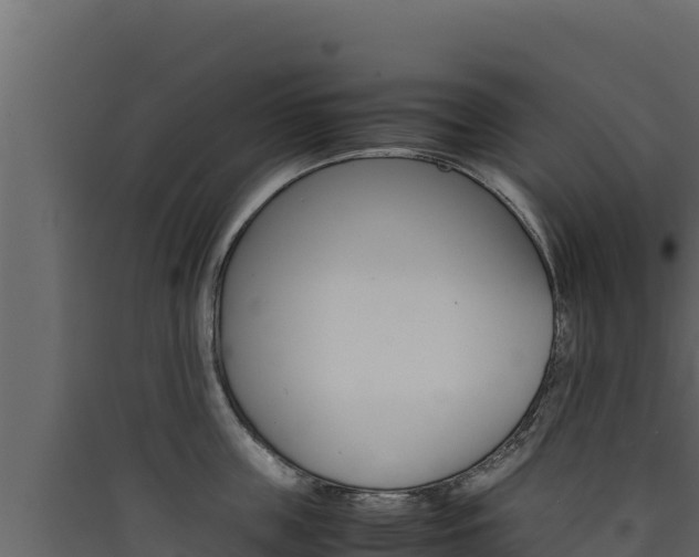 X0000090430859200707131007