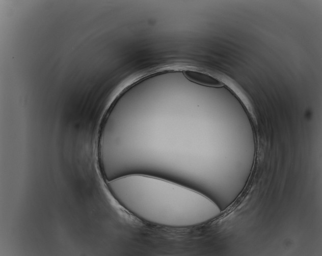 X0000090430861200707131007