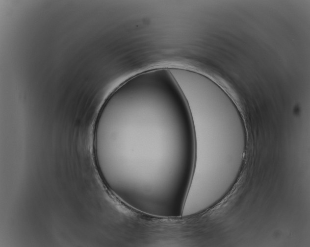 X0000090430862200707131007