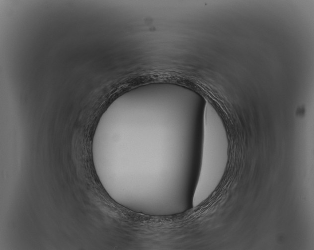 X0000090430865200707131006