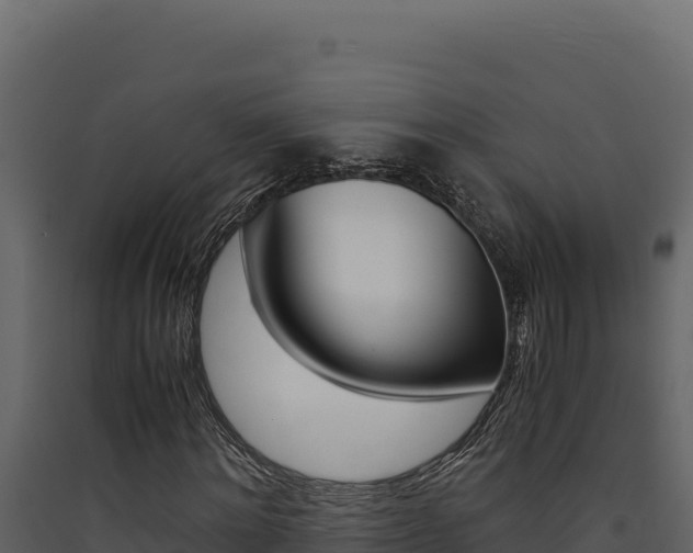 X0000090430868200707131006
