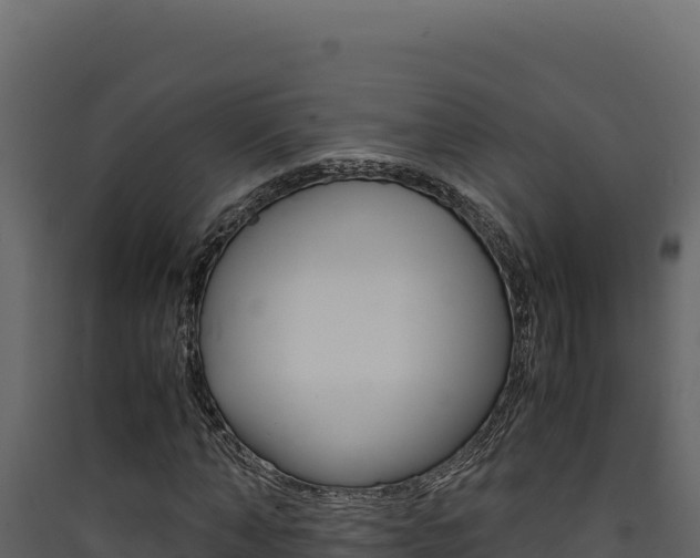 X0000090430870200707131006