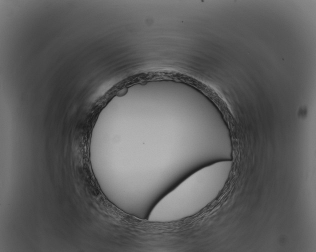 X0000090430871200707131006