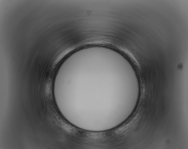 X0000090430874200707131006